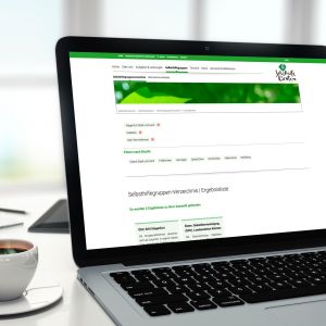 webdesign website gestaltung programmierung cms contao selbsthilfe kärnten klagenfurt villach