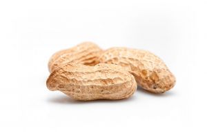 Nur Affen arbeiten für Peanuts
